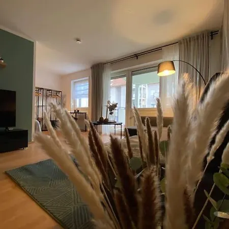 Design, Hochschule, Wildpark, Zentral, Waipu Tv, Netflix *