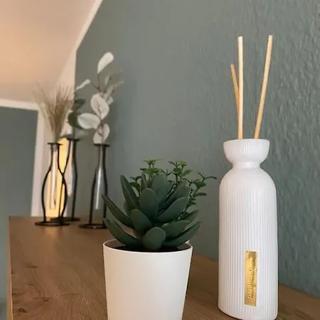 Design, Hochschule, Wildpark, Zentral, Waipu Tv, Netflix *