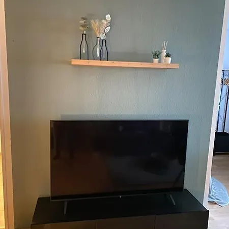 Design, Hochschule, Wildpark, Zentral, Waipu Tv, Netflix